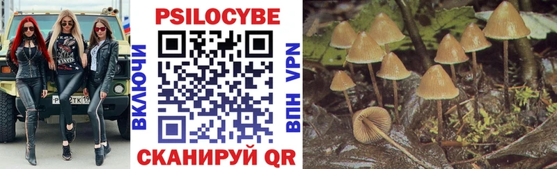 даркнет формула  OMG маркетплейс  Арамиль  Галлюциногенные грибы Magic Shrooms 